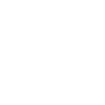 leonisa